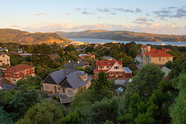 We help HOAs keep thier assets clean and tidy. We can handle multiple stumps.