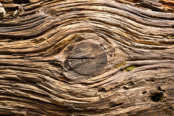 We help and partner with any property management service.